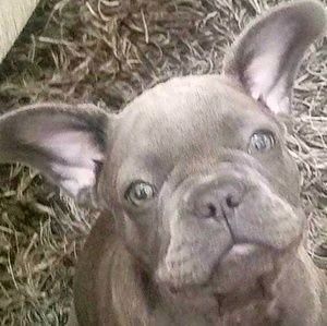 Meet your Posher, James